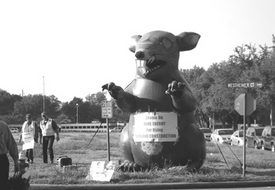 Duke Energy workers smell a rat