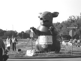 Duke Energy workers smell a rat