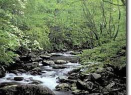 National Parks seriously compromised by cuts