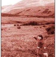 BOOK REVIEW: Alaskan landscape teems with life