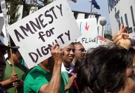 Senate debate on immigration begins