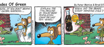 Shades of Green: Jan. 12, 2008