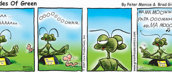 Shades of Green: March 22, 2008