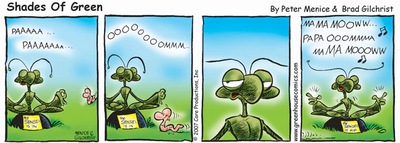 Shades of Green: March 22, 2008