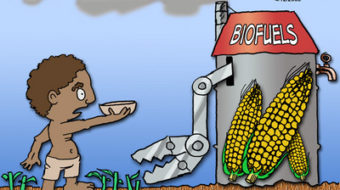 CARTOON: Biofuels