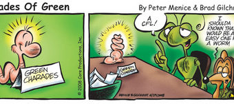 Shades of Green: June 28, 2008