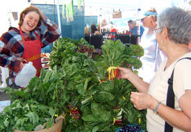 Saving our food and farmland