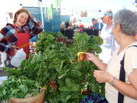 Saving our food and farmland