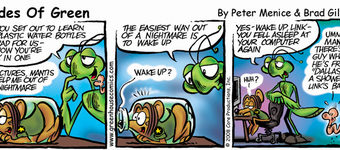 Shades of Green: Sept. 20, 2008