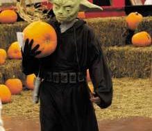 Yoda says Treat, you did!