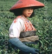 Start at home: promoting local economic development to stem the global economic crisis