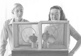 Whatever you give, you get back ten times