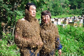 Couple covered by over 10,000 bees