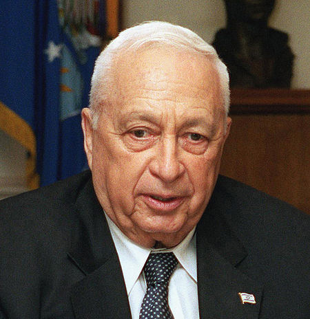 Butcher or hero? Ariel Sharon leaves harsh legacy