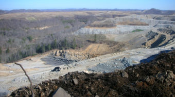 Muted rebellion against Blue Dogs at W.Va. Dem convention