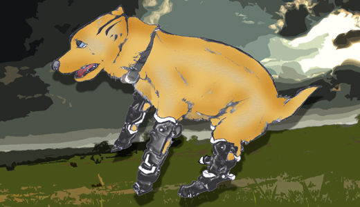 Naki’o: the amazing bionic puppy