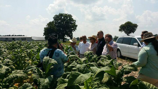 British MPs cry when they tour North Carolina tobacco farm