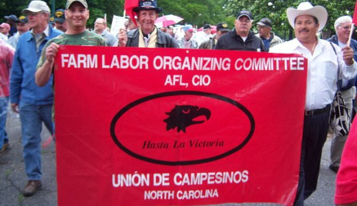 Farmworkers fight for rights in the tobacco fields