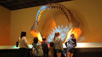 Texas education board votes in favor of reason