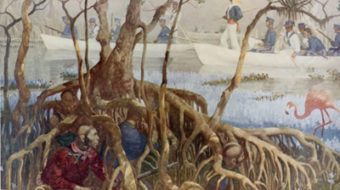 Today in labor and peoples history: Seminole Wars begin