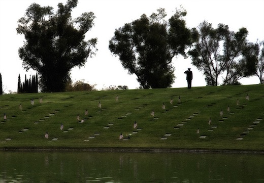 Veterans need more than flags on Memorial Day