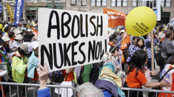 A Middle East nuclear weapon-free zone: a vital next step