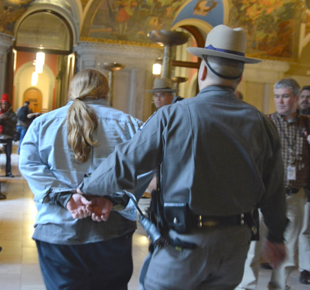 Scores arrested in Albany budget protest