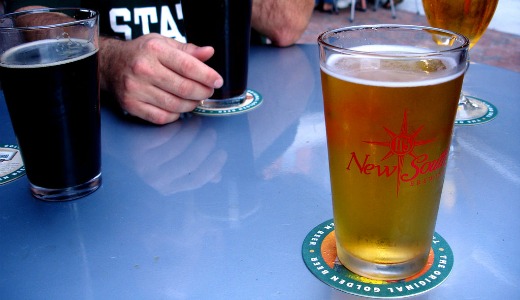 The Beer Evolution: New yeast discovered in Patagonian forest