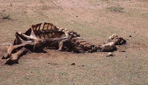 Forget Mayan calendar: Climate change is real doomsday threat