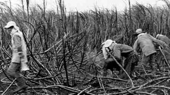 Today in labor history: Hawaiian workers win collective bargaining