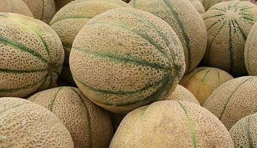 Colorado cantaloupes: a deadly listeria outbreak