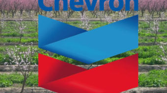 Chevron’s oil on troubled waters