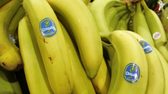Chiquita paid terrorists to “protect” its plantations