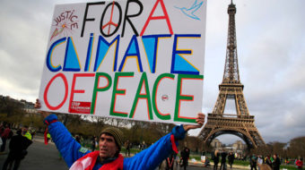 How green was 2015? A look back at struggles and victories