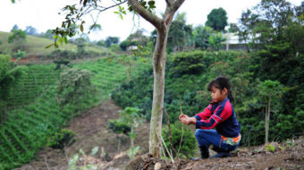 Coffee Brigade will harvest peace, justice and coffee in Colombia
