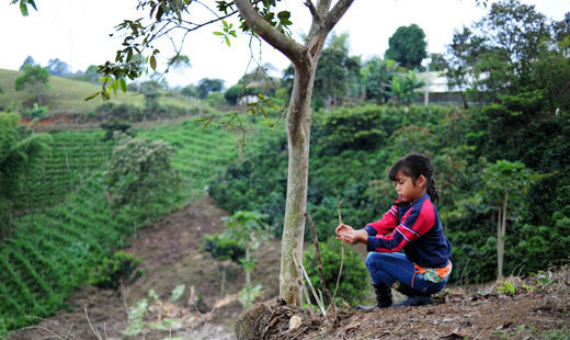 Coffee Brigade will harvest peace, justice and coffee in Colombia