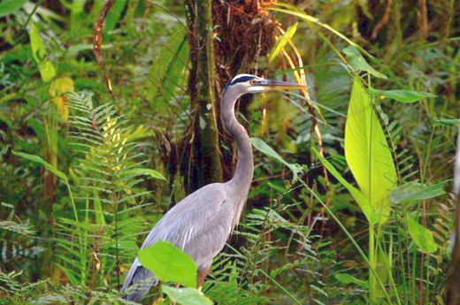 SW Florida residents say “No fracking”