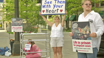 Pork corporations ending use of torturous crates