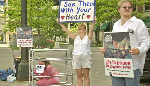 Pork corporations ending use of torturous crates