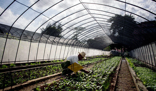 Cuba’s new, experimental urban cooperatives