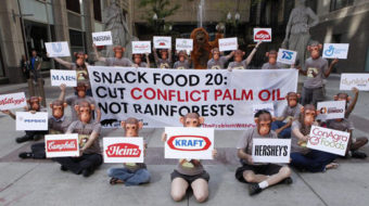 Climate march underscores the high stakes of using palm oil