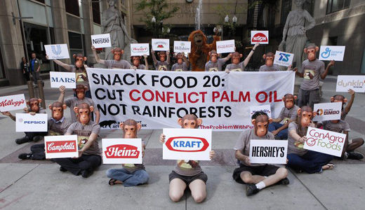Climate march underscores the high stakes of using palm oil