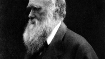 Today in labor history: Atheists and religious alike celebrate “Darwin Day”