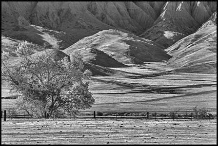 The Panoche Hills: the strange sere bones of an ancient landscape