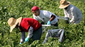 San Diego: land of day laborers, farm workers and guest workers