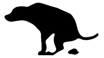 Dog poop and hipsters rated higher than GOP-run House