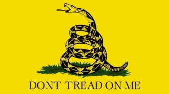 Tea party picked the wrong flag