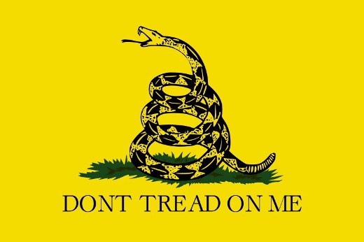 Tea party picked the wrong flag