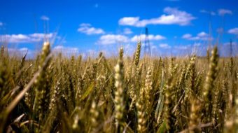 “Long time coming”: Congress OKs compensation for Black farmers, Native Americans