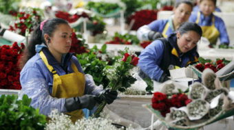 Flower workers: giving Valentine’s Day new meaning